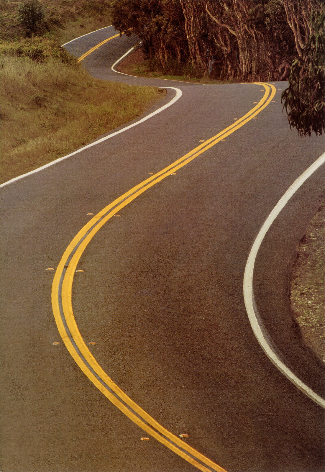 n_1993 Ford Mustang Cobra-03.jpg